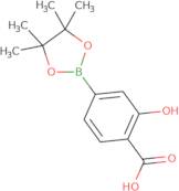 2-Hydroxy-4-(4,4,5,5-tetramethyl-1,3,2-dioxaborolan-2-yl)benzoic acid