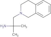 2-Methyl-1-(1,2,3,4-tetrahydroisoquinolin-2-yl)propan-2-amine