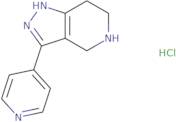 3-(Pyridin-4-yl)-4,5,6,7-tetrahydro-1H-pyrazolo[4,3-c]pyridine hydrochloride