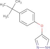 (2-Chloro-benzyl)-(S)-pyrrolidin-3-yl-amine hydrochloride