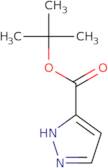 tert-Butyl 1H-pyrazole-3-carboxylate