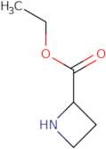 Ethyl azetidine-2-carboxylate