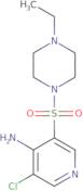 5-(2,3-Dichlorophenyl)dihydro-2(3H)-furanone