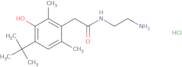 2-Aminoethyl 4-tert-butyl-2,6-dimethyl-3-hydroxyphenylacetamide hydrochloride