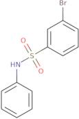 3-Bromo-N-phenylbenzenesulfonamide