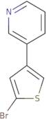 3-(5-Bromothiophen-3-yl)pyridine