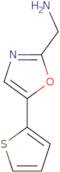 [5-(Thiophen-2-yl)-1,3-oxazol-2-yl]methanamine