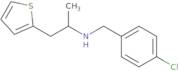 [(4-Chlorophenyl)methyl][1-(thiophen-2-yl)propan-2-yl]amine