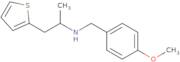 [(4-Methoxyphenyl)methyl][1-(thiophen-2-yl)propan-2-yl]amine