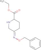 (2S)-5-[(Phenylmethoxy)imino]-2-piperidinecarboxylic Acid Ethyl Ester