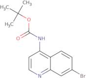 tert-Butyl (7-bromoquinolin-4-yl)carbamate