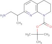 tert-Butyl 7-(1-aminopropan-2-yl)-3,4-dihydro-1,8-naphthyridine-1(2H)-carboxylate