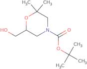 tert-Butyl 6-(hydroxymethyl)-2,2-dimethylmorpholine-4-carboxylate