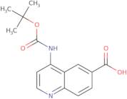 4-((tert-Butoxycarbonyl)amino)quinoline-6-carboxylic acid