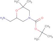 tert-Butyl 6-(aminomethyl)-2,2-dimethylmorpholine-4-carboxylate