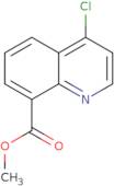 Methyl 4-chloroquinoline-8-carboxylate