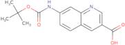 7-(tert-Butoxycarbonylamino)quinoline-3-carboxylic acid