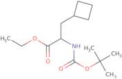 Ethyl 2-((tert-butoxycarbonyl)amino)-3-cyclobutylpropanoate