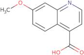 7-Methoxyquinoline-4-carboxylic acid
