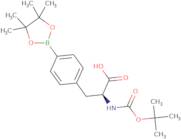 (S)-2-((tert-Butoxycarbonyl)amino)-3-(4-(4,4,5,5-tetramethyl-1,3,2-dioxaborolan-2-yl)phenyl)propanoic acid
