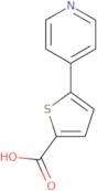 5-Pyridin-4-ylthiophene-2-carboxylic acid