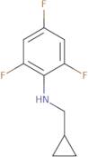 N-(Cyclopropylmethyl)-2,4,6-trifluoroaniline