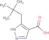 5-(2,2-Dimethylpropyl)-1H-pyrazole-4-carboxylic acid