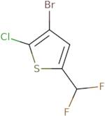 3-Bromo-2-chloro-5-(difluoromethyl)thiophene