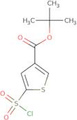 tert-Butyl 5-(chlorosulfonyl)thiophene-3-carboxylate