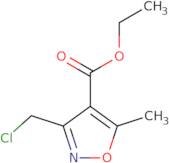 Ethyl 3-(chloromethyl)-5-methyl-1,2-oxazole-4-carboxylate