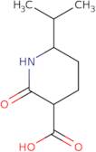 2-Oxo-6-(propan-2-yl)piperidine-3-carboxylic acid