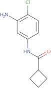 N-(3-Amino-4-chlorophenyl)cyclobutanecarboxamide