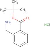 tert-Butyl 2-(aminomethyl)benzoate hydrochloride