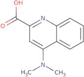 4-(Dimethylamino)quinoline-2-carboxylic acid