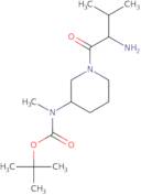 2-Chloro-3-methyl-5-nitrobenzene-1-sulfonamide