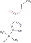 Ethyl 3-tert-butyl-1H-pyrazole-5-carboxylate