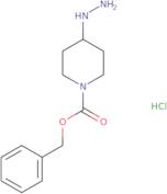 Benzyl 4-hydrazinylpiperidine-1-carboxylate hydrochloride