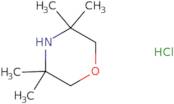 3,3,5,5-Tetramethylmorpholine hydrochloride