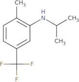 2-Methyl-N-(propan-2-yl)-5-(trifluoromethyl)aniline