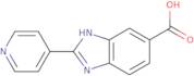 2-(Pyridin-4-yl)-1H-benzimidazole-6-carboxylic acid