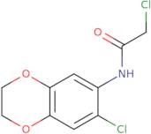 2-Chloro-N-(7-chloro-2,3-dihydro-1,4-benzodioxin-6-yl)acetamide