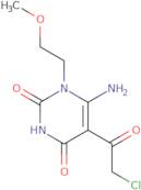 6-Amino-5-(2-chloroacetyl)-1-(2-methoxyethyl)-1,2,3,4-tetrahydropyrimidine-2,4-dione