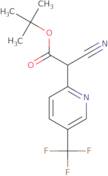 tert-Butyl 2-cyano-2-[5-(trifluoromethyl)pyridin-2-yl]acetate