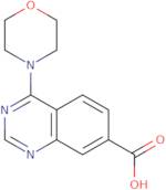 4-Morpholinoquinazoline-7-carboxylic acid