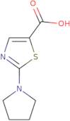 2-Pyrrolidin-1-yl-1,3-thiazole-5-carboxylic acid