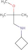 N-(2-Methoxy-2-methylpropyl)cyclobutanamine