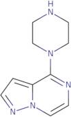 4-Piperazin-1-yl-pyrazolo[1,5-a]pyrazine