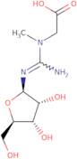 Creatine riboside