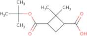 (1S,3R)-3-(tert-Butoxycarbonyl)-2,2-dimethylcyclobutane-1-carboxylic acid