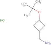 [3-(tert-Butoxy)cyclobutyl]methanamine hydrochloride